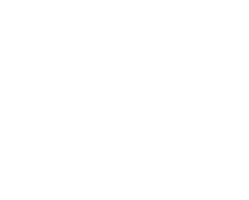 gnt-1.png